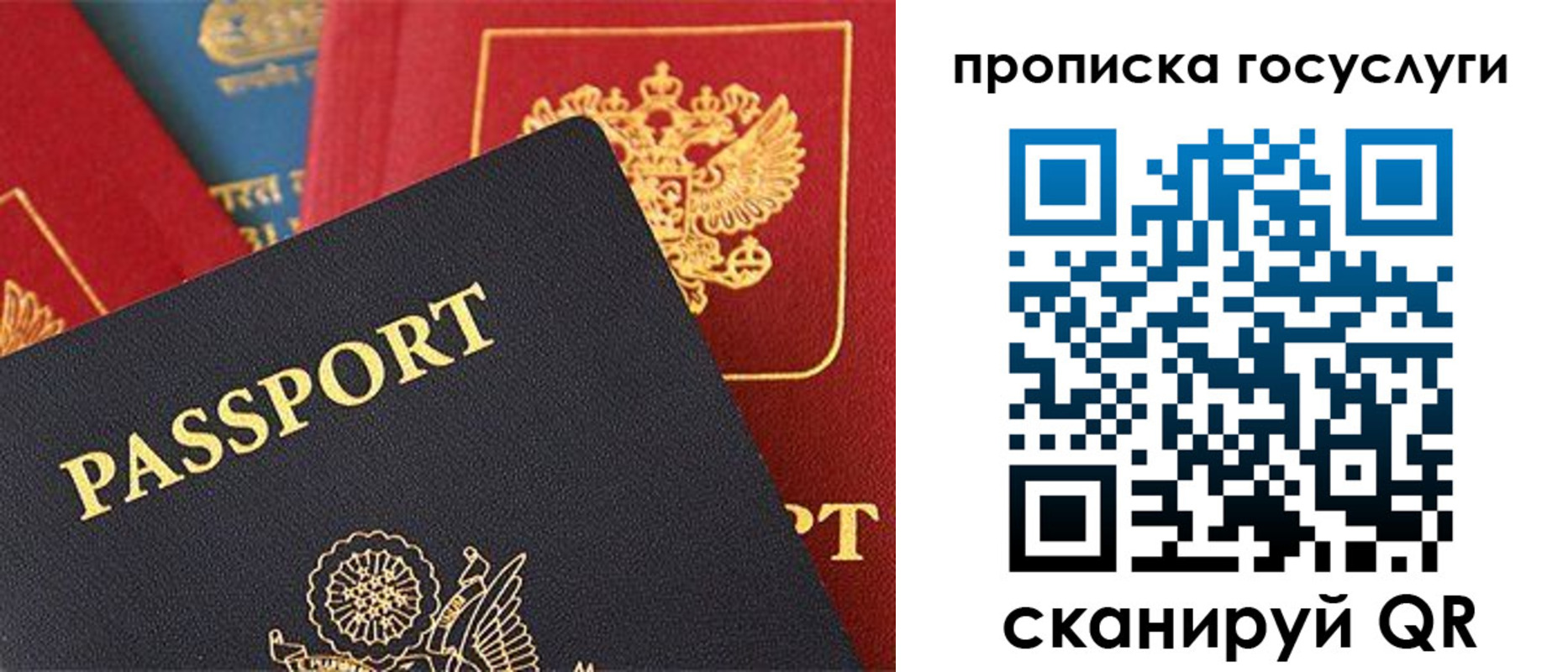 где прописаться в Дорогобуже